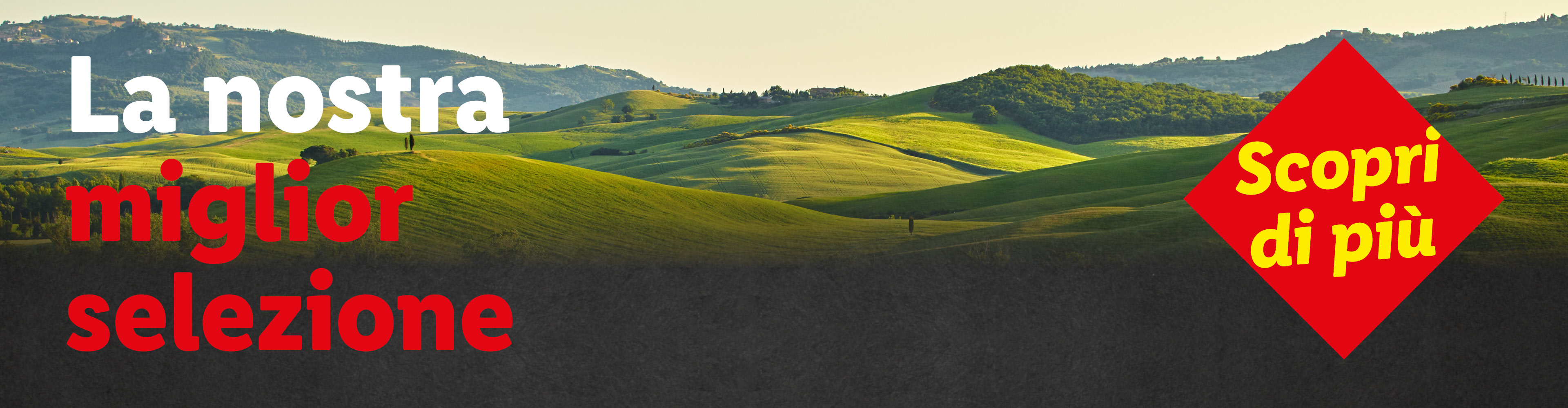 'La nostra miglior selezione'