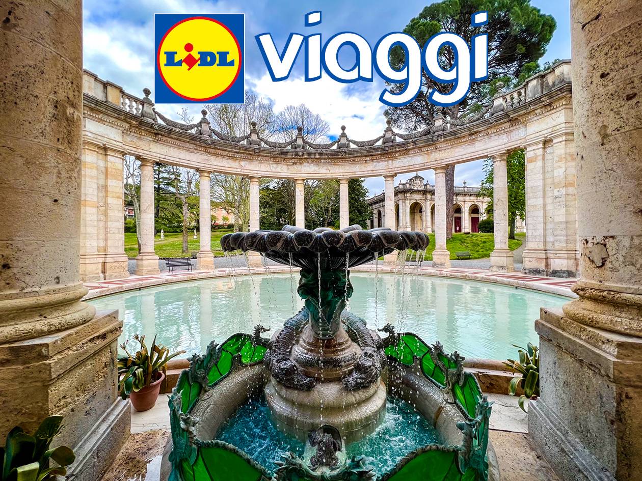 Lidl Viaggi