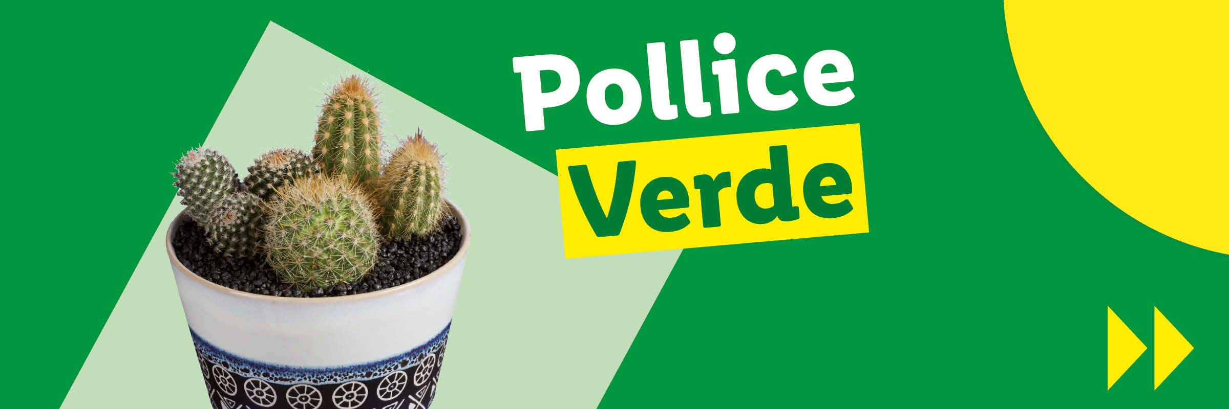 Pollice Verde 