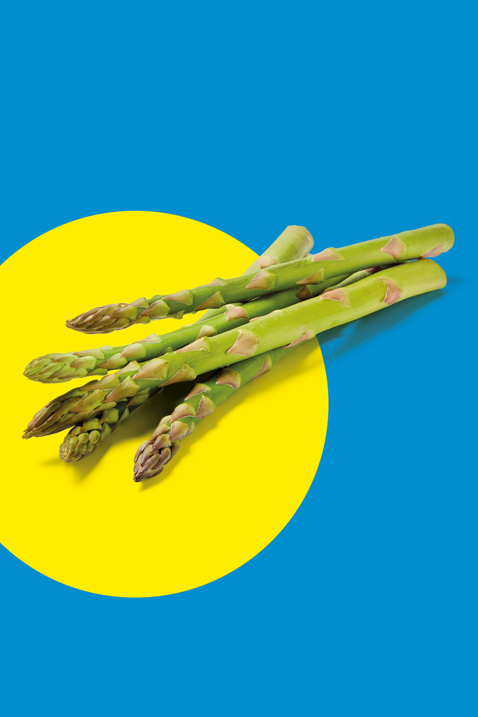 Asparagi freschi su sfondo blu e cerchio giallo.
