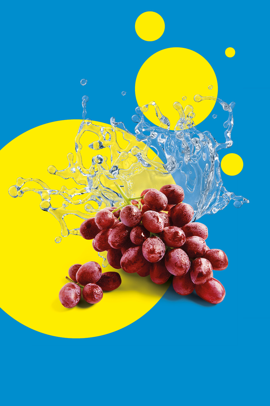 Uva rossa con schizzi d'acqua su sfondo blu e cerchi gialli.